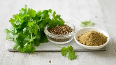 coriander_16x9