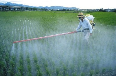 glyphosate-organic-foods - glyphosate pesticide