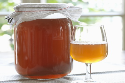 kombucha1