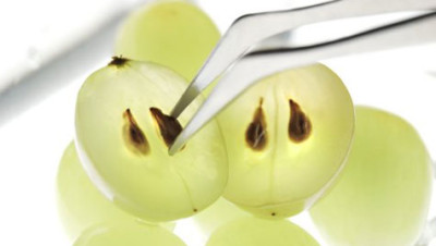 Grape-Seed