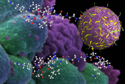 Nanosponges-for-Drug-Delivery