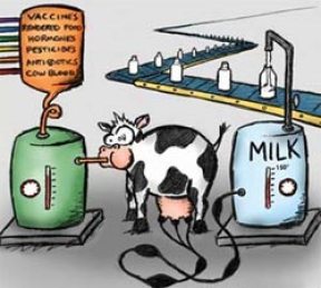 milk_chemicals