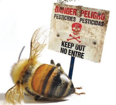 pesticides-killing-bees