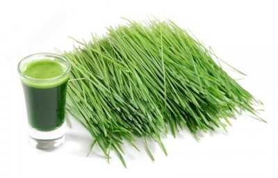 wheatgrass