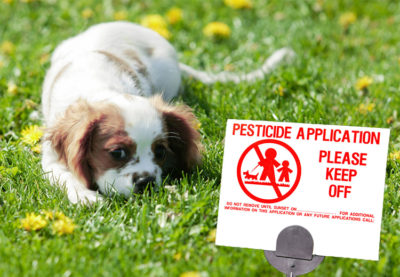 pets-lawn-pesticides